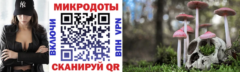 Галлюциногенные грибы MAGIC MUSHROOMS Солигалич