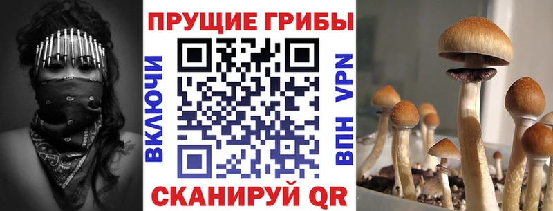 Псилоцибиновые грибы MAGIC MUSHROOMS  Солигалич 